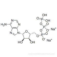 Adenosine 5'-triphosphate disodium salt CAS 987-65-5